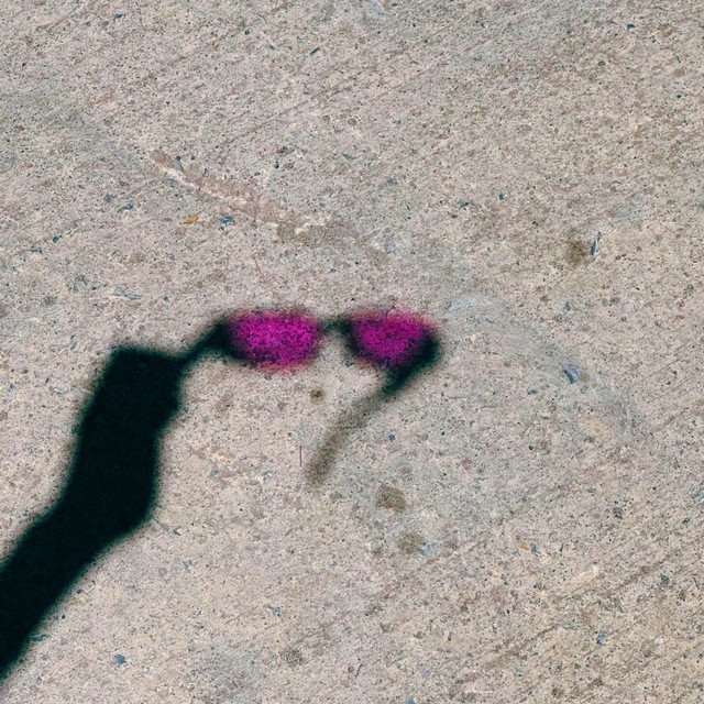 Retrato artístico de la banda Lila ROME con instrumentos